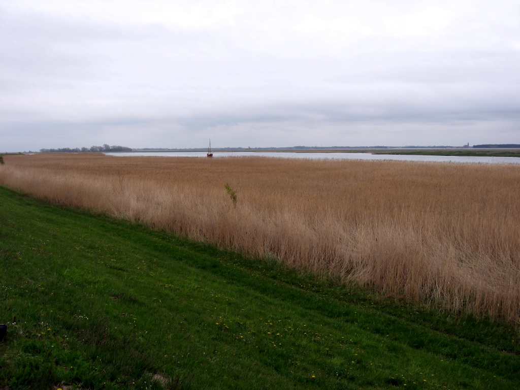 Duitsland Elly (6)